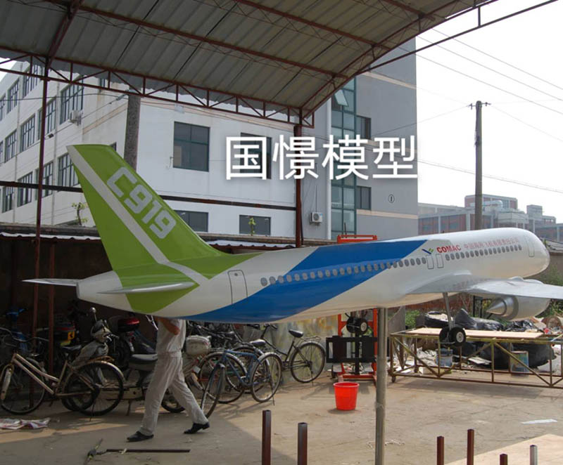 三台县飞机模型